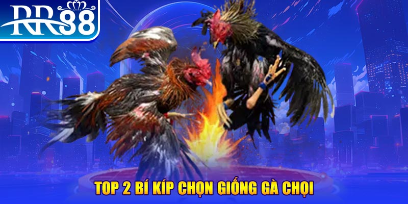 shbet bắn cá h5