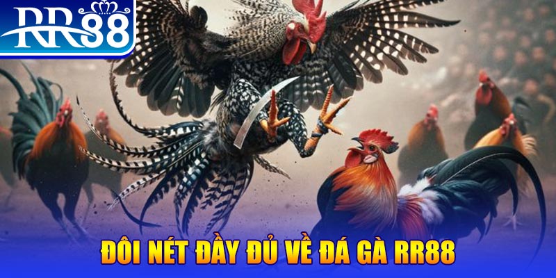 shbet gà chọi hoà phong