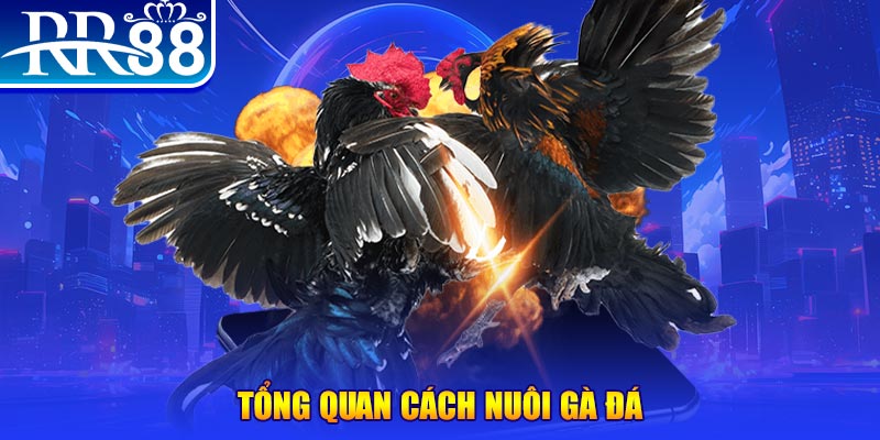 shbet xổ số thứ ba