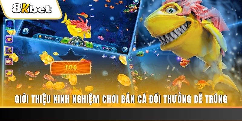 shbet xổ số miền bắc hôm