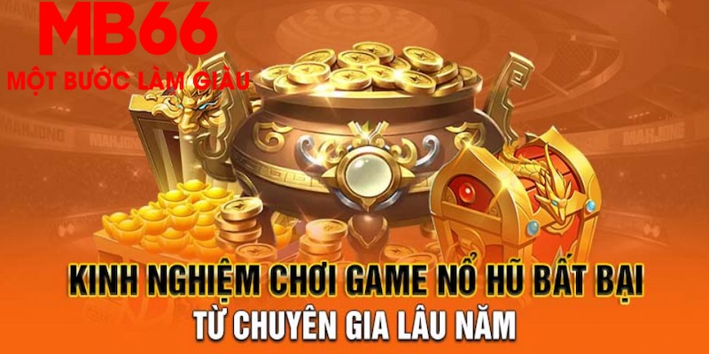 shbet đá gà hôm nay