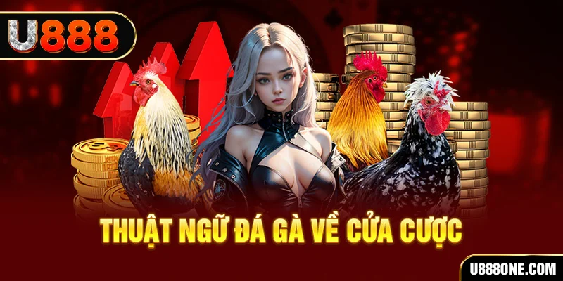 shbet da ga 88