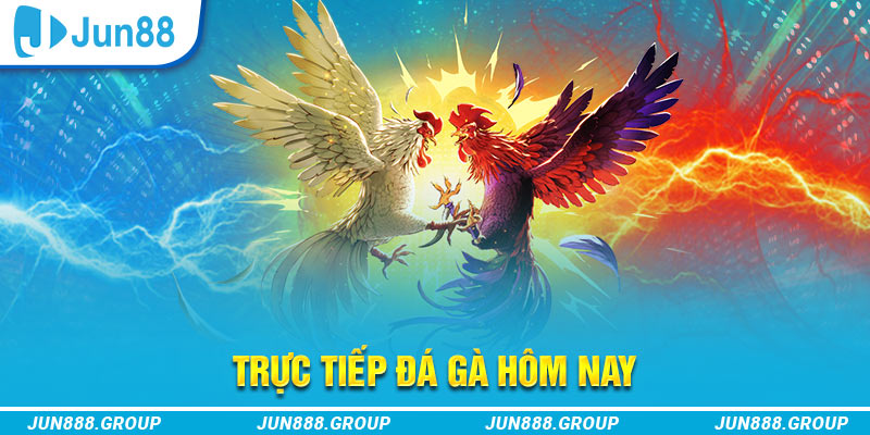 shbet trực tiếp đá gà thomo