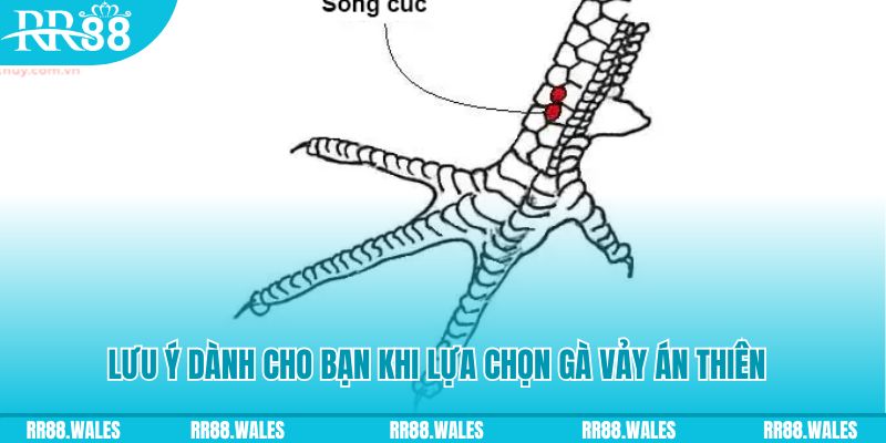 shbet xổ số khánh hòa