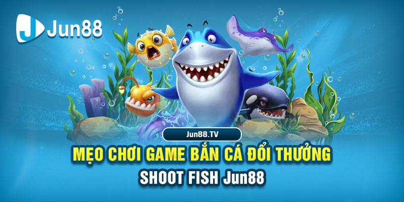 shbet tải game đánh bài online về máy tính