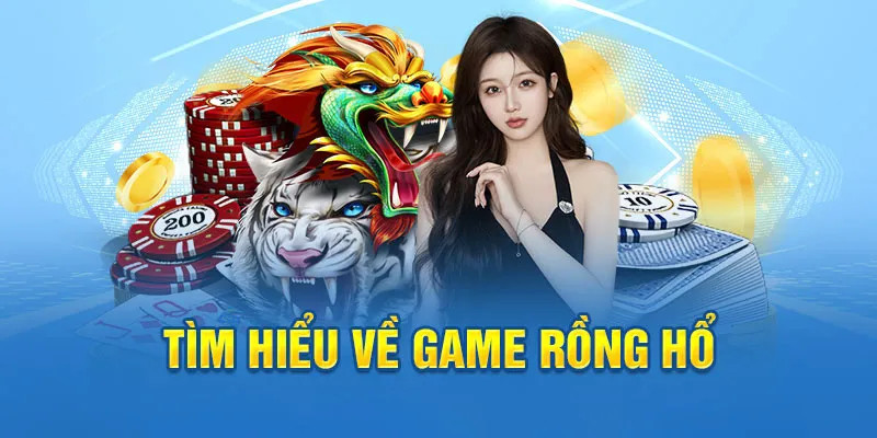 shbet ai tool slot 8.0