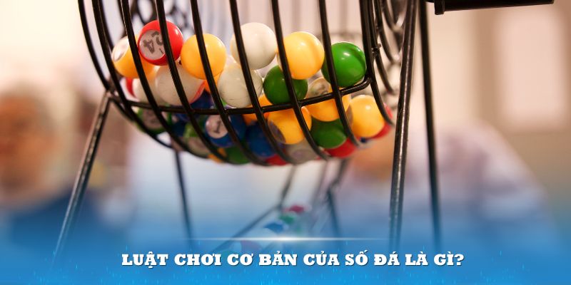 shbet Đĩa màu ace