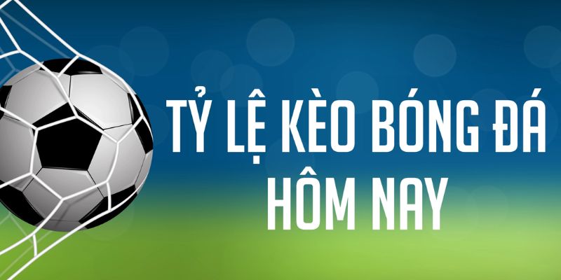 shbet ÁT CHỦ MÁY HOA QUẢ THẦN TÀI