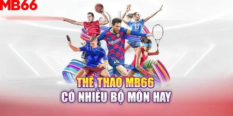 shbet slot là gì nghĩa