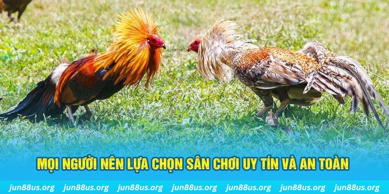 shbet Tài Xỉu