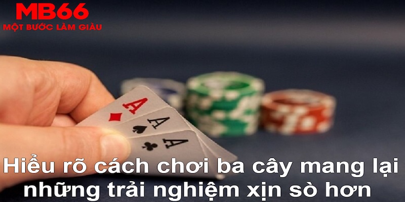 shbet DB Trực Tuyến
