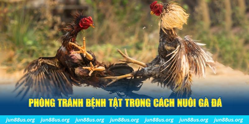 shbet natural” trong baccarat nghĩa là gì？